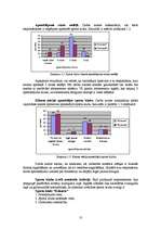Diplomdarbs 'Jauna sporta kluba "Enerģija" izveides projekts', 13.