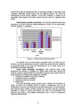 Diplomdarbs 'Jauna sporta kluba "Enerģija" izveides projekts', 15.