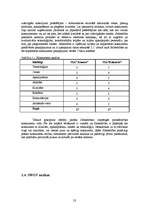 Diplomdarbs 'Jauna sporta kluba "Enerģija" izveides projekts', 23.