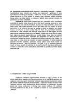 Diplomdarbs 'Jauna sporta kluba "Enerģija" izveides projekts', 39.