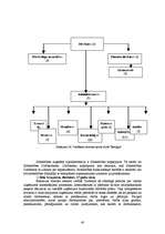 Diplomdarbs 'Jauna sporta kluba "Enerģija" izveides projekts', 40.