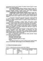 Diplomdarbs 'Jauna sporta kluba "Enerģija" izveides projekts', 41.