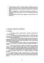 Diplomdarbs 'Jauna sporta kluba "Enerģija" izveides projekts', 60.