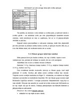 Referāts 'Uzņēmuma "McDonald's" zīmola ietekme uz patērētāju izvēli tirgū', 25.