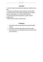 Eseja 'Personāla meklēšana ārpus organizācijas', 13.