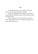 Eseja 'Rūta Mežavilka "Klusu"', 3.