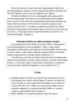 Referāts 'A/s "Ventspils nafta"', 6.