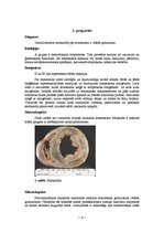 Konspekts 'Kļūdu labojums patoloģijā', 4.