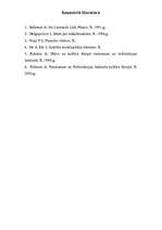 Referāts 'Leonardo da Vinči', 19.