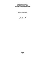 Referāts 'Rotaļlietas', 1.