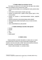 Referāts 'Rotaļlietas', 5.