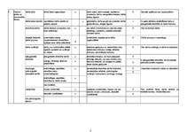 Paraugs 'Risku novērtēšanas veidlapa autovadītājam', 4.