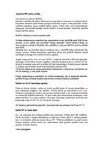 Eseja 'Dzīvība un nāve transcendentālā mijiedarbībā', 4.