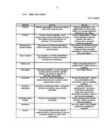 Referāts 'SIA "Kuehne + Nagel Latvia"', 11.