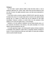 Referāts 'SIA "Kuehne + Nagel Latvia"', 33.