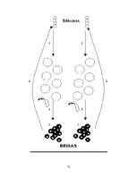 Konspekts 'Stafete 9.klases eksāmenam', 4.