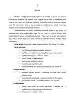 Prakses atskaite 'Tirgus tendenču analīze un SIA "Žanete SL" tirdznieciskās darbības pilnveidošana', 4.