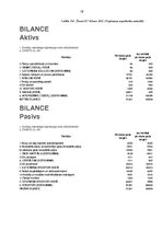 Prakses atskaite 'Tirgus tendenču analīze un SIA "Žanete SL" tirdznieciskās darbības pilnveidošana', 19.