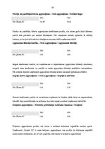Prakses atskaite 'Tirgus tendenču analīze un SIA "Žanete SL" tirdznieciskās darbības pilnveidošana', 23.