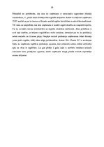 Prakses atskaite 'Tirgus tendenču analīze un SIA "Žanete SL" tirdznieciskās darbības pilnveidošana', 28.