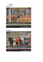 Referāts 'Apšaude un granātu uzbrukums Lježā: sociālās realitātes konstrukcija Krievijas T', 7.