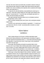 Referāts 'Eļļas augu audzēšanas tehnoloģijas un izmantošana', 8.