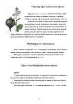 Referāts 'Eļļas augu audzēšanas tehnoloģijas un izmantošana', 21.
