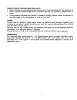 Referāts 'Basketbols', 2.