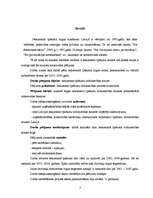 Referāts 'Uzņēmējdarbības makrovide nekustamo īpašumu tirdzniecības nozarē Rīgā', 3.