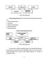 Referāts 'Uzņēmējdarbības makrovide nekustamo īpašumu tirdzniecības nozarē Rīgā', 8.