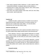 Referāts 'Uzņēmējdarbības makrovide nekustamo īpašumu tirdzniecības nozarē Rīgā', 19.