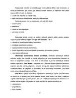 Referāts 'Uzņēmējdarbības makrovide nekustamo īpašumu tirdzniecības nozarē Rīgā', 20.