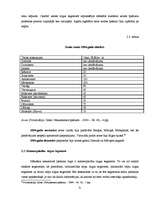 Referāts 'Uzņēmējdarbības makrovide nekustamo īpašumu tirdzniecības nozarē Rīgā', 31.