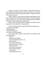 Referāts 'Uzņēmējdarbības makrovide nekustamo īpašumu tirdzniecības nozarē Rīgā', 43.