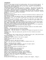 Eseja 'Invertebrates', 1.