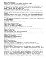 Eseja 'Invertebrates', 4.