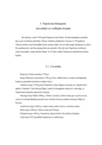 Eseja 'Napoleons Bonaparts - izcils karavadonis vai neveiksminieks?', 5.