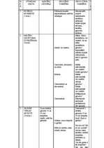 Diplomdarbs 'Pasaka intereses attīstībai par matemātikas mācībām 1.klasē', 50.