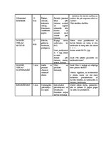 Diplomdarbs 'Pasaka intereses attīstībai par matemātikas mācībām 1.klasē', 58.