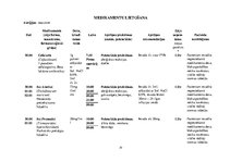 Prakses atskaite 'Aprūpes plāns ķirurģijā - uroonkoloģija', 20.