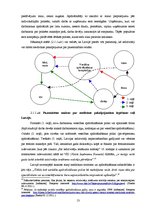 Referāts 'Obligātās veselības apdrošināšanas politikas analīze', 13.