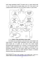 Referāts 'Obligātās veselības apdrošināšanas politikas analīze', 17.