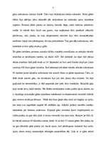 Referāts 'Vācijas Rietumu fronte', 8.