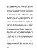 Eseja 'Retorika un komunikācijas māksla: pārliecināšanas principi un efektīvas runas st', 3.