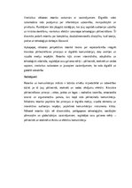 Eseja 'Retorika un komunikācijas māksla: pārliecināšanas principi un efektīvas runas st', 6.