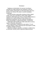 Eseja 'Atsauksmju ietekme internetā uz cilvēkiem, rezervējot viesnīcu', 5.