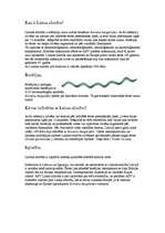 Referāts 'Laima slimība', 2.