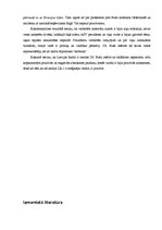 Referāts 'ASV prezidenta Džordža Buša tēla veidošana Latvijas Radio 1 ziņu un informatīvaj', 6.