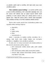 Referāts 'Miera uzturēšana un mierīga līdzāspastāvēšana', 11.