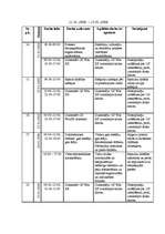 Prakses atskaite 'Kvalifikācijas prakses atskaite', 17.